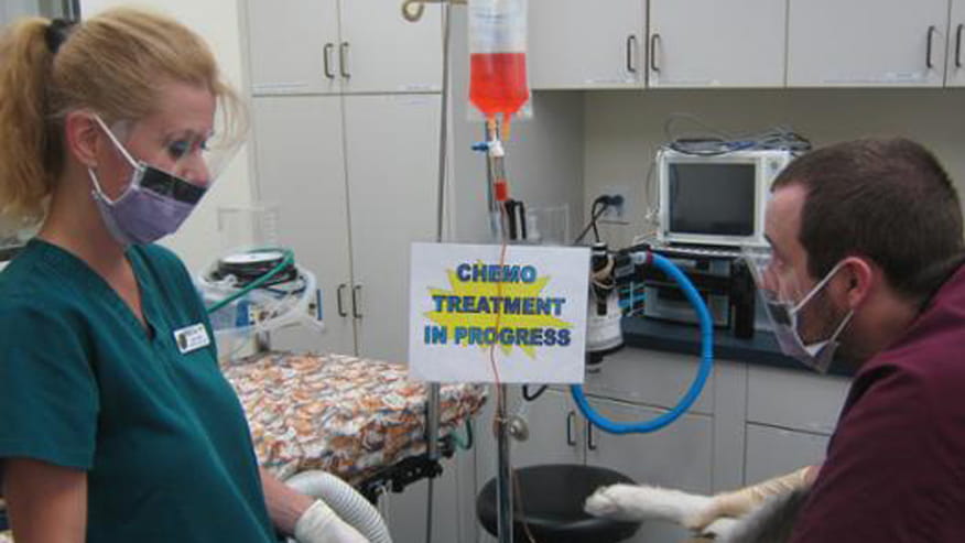 876x493 encina chemotherapy