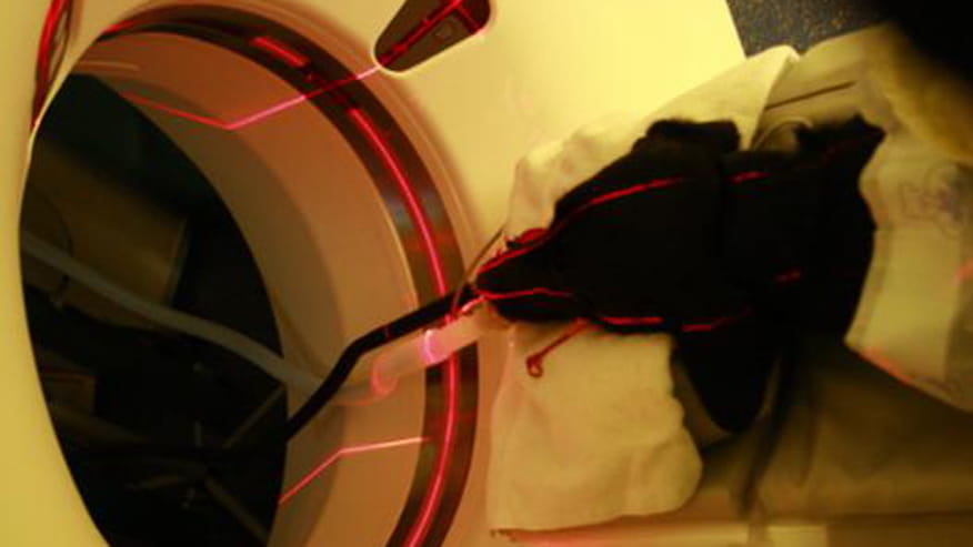 876x493 encina full diagnostics