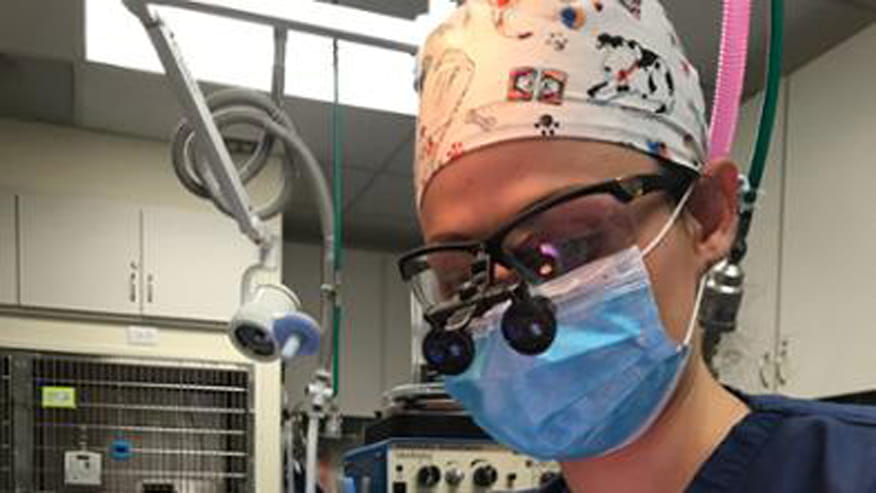 876x493 encina root canals