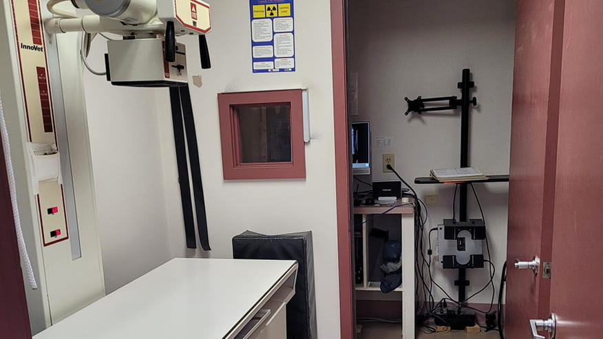 Radiology at VCA Hamilton