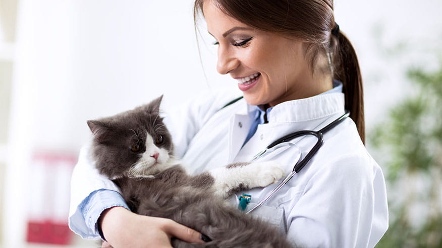 876x493 SpecialtyServices Rehabilitation