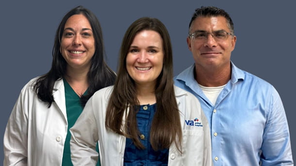 Surgeons at VCA Hollywood Animal Hospital