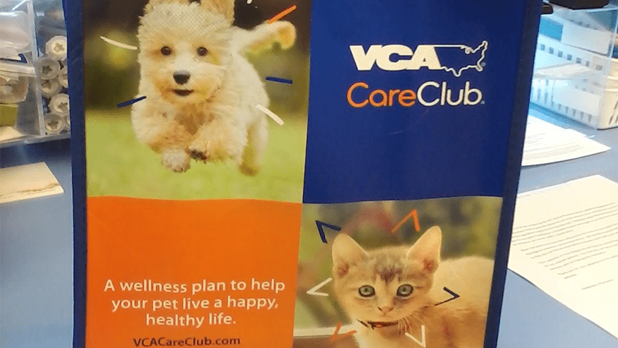 New Puppy & New Kitten Packages