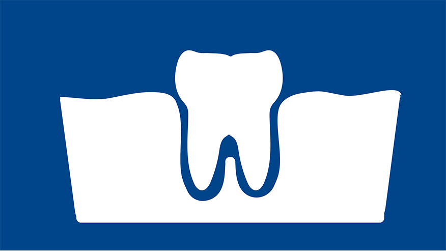 876x493 leon springs Dentistry