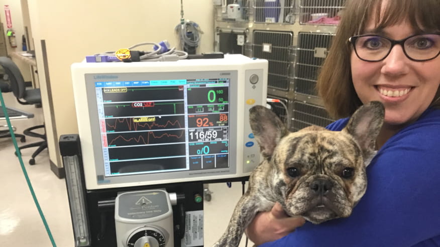 876x493 murrayhill ekg