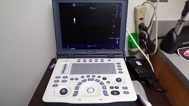 Ultrasound at VCA Northside in Connecticut