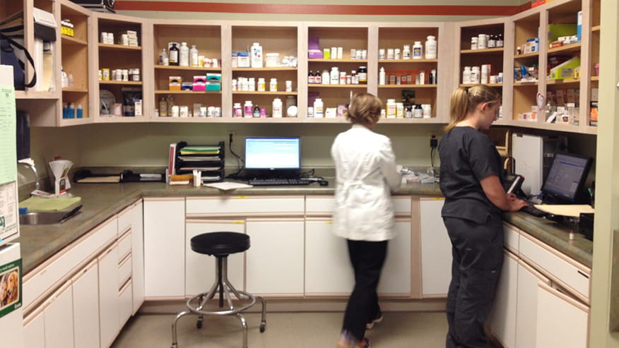 876x493 paw prints Services Pharmacy