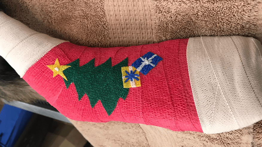 876x493 pet medical center BoneJointSurgery