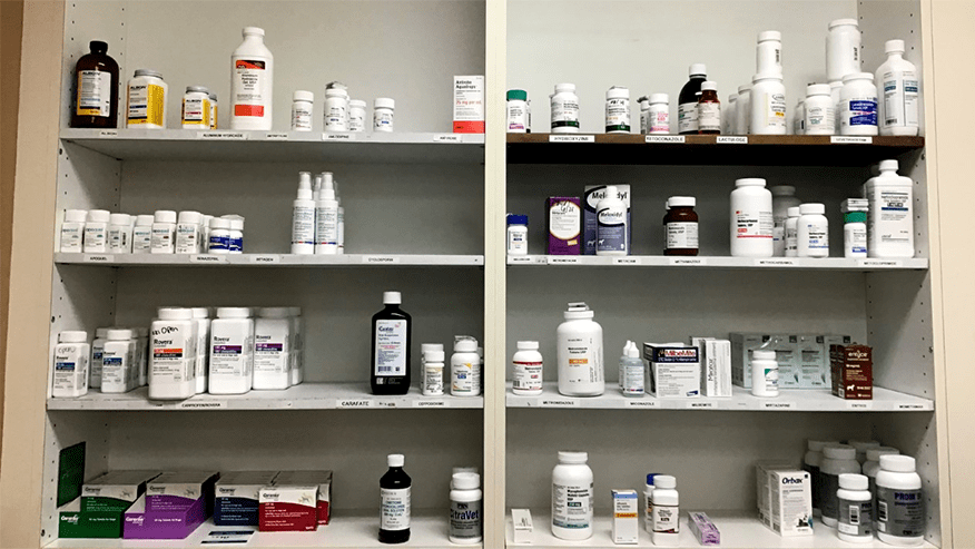 876x493 pet medical center Pharmacy