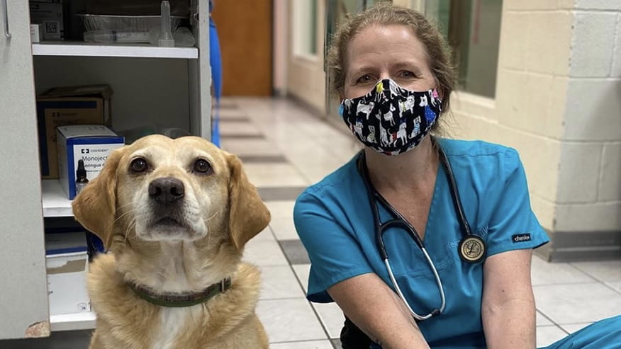 Preston Park Adult & Senior Wellness