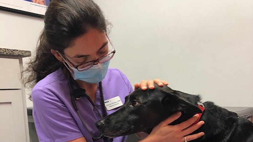 Preston Park Preventive Medicine