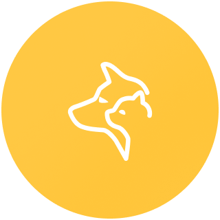 CC_NavIcon_Behavior_Color icon