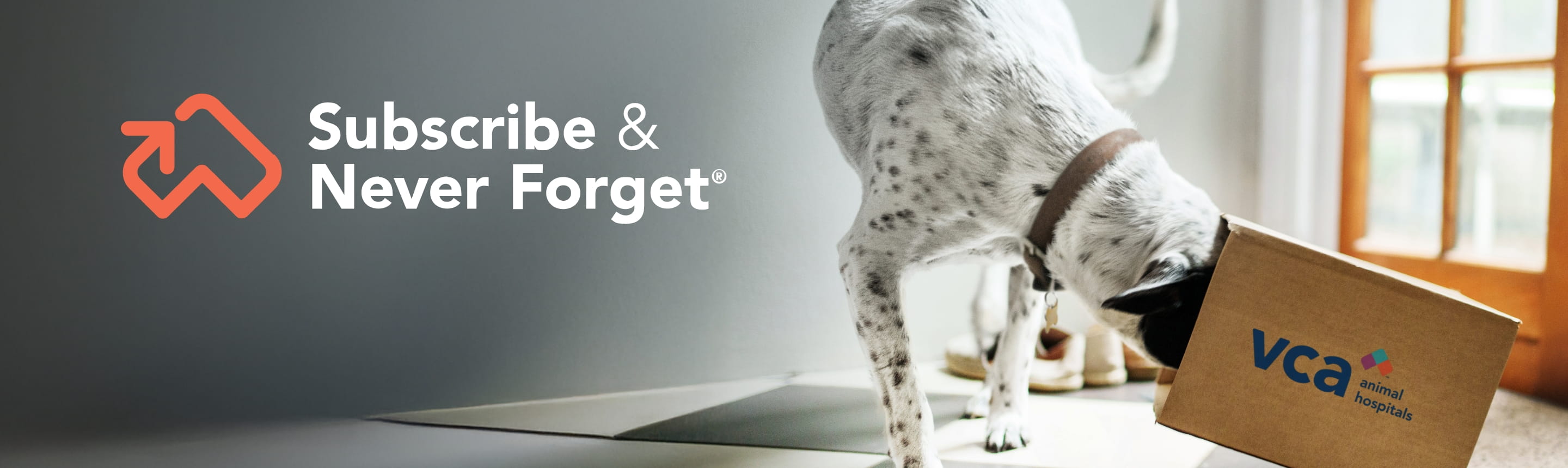 Subscribe & Never Forget text and spotted dog with head in a VCA subscriptions box
