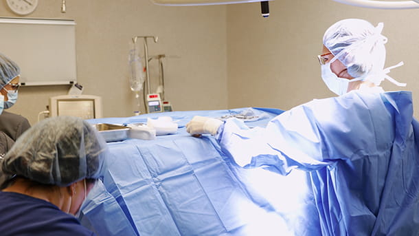 Orthopedic surgery at VCA Smoketown