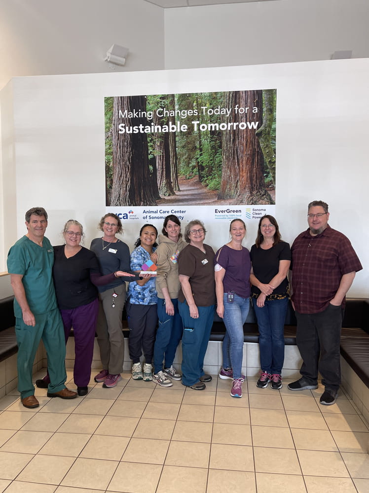 Multipletext CTA Image