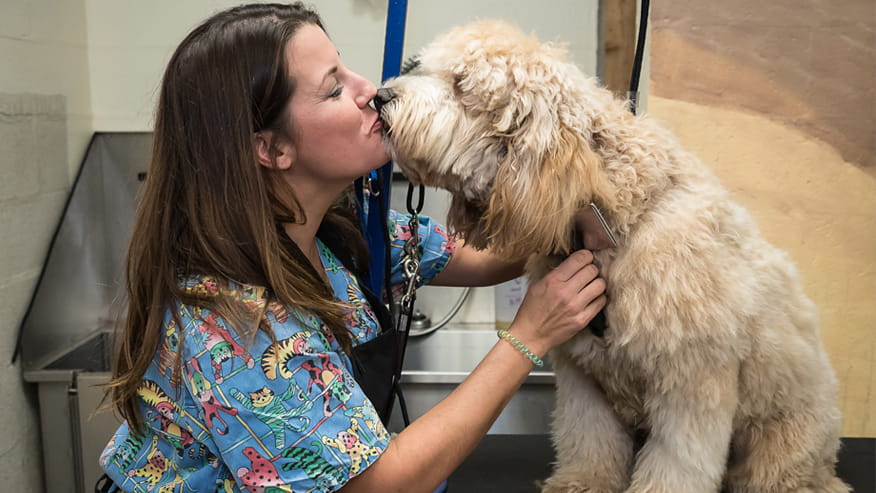 VCA South Arundel Animal Hospital Grooming