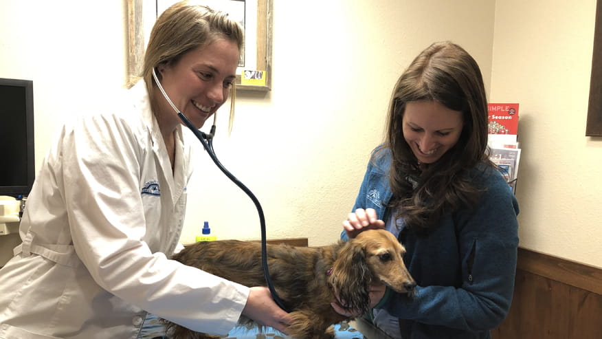 876x493 spring creek PrimaryCare