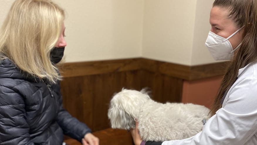 Spring Creek Adult Wellness