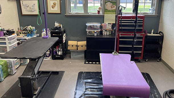 VCA SylvaniaVET Animal Hospital Grooming