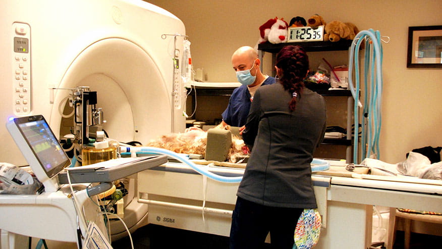 Diagnostic Imaging