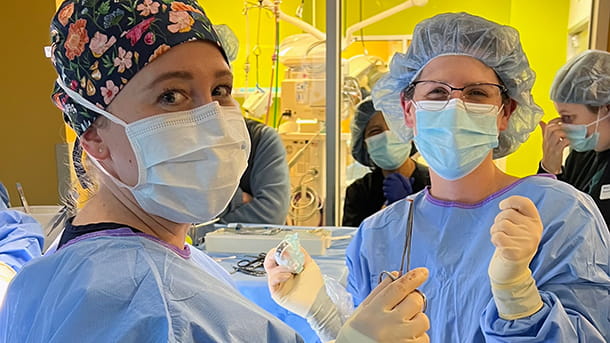 Veterinarian surgeons