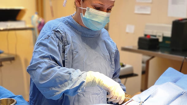 Veterinarian in surgery at VCA Wexford Animal Hospital