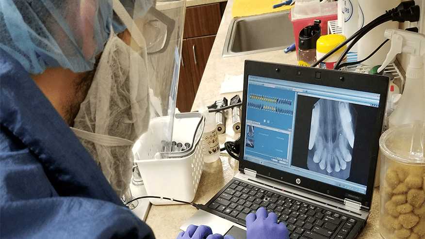 876x493 woodland south Dentistry